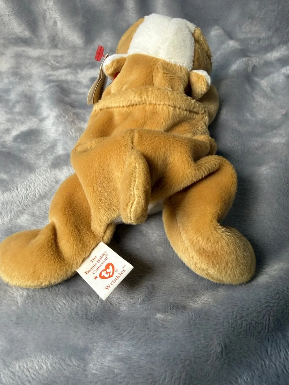 Ty Tan and White Plush Puppy with Heart Tag
